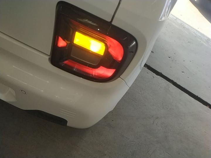 2023 Panda mini 200km Endurance Bear photo 7
