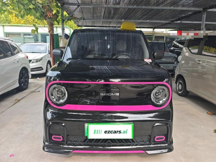 2025 210km Panda photo 2