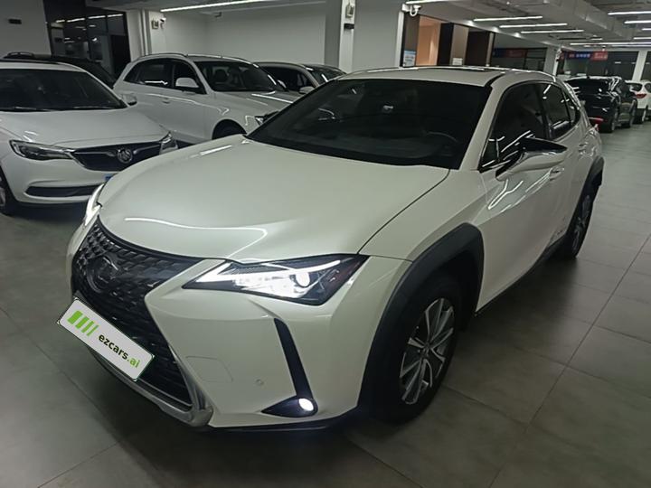 UX EV 2020 300e