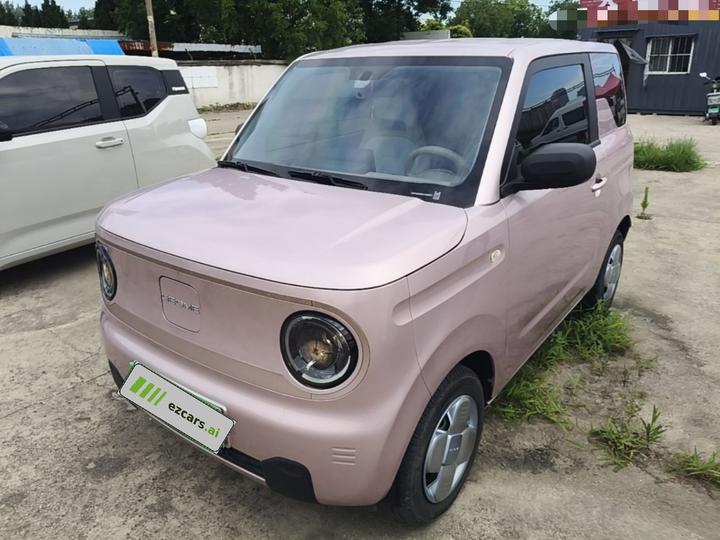 2024 Panda mini 200km Endurance Bear