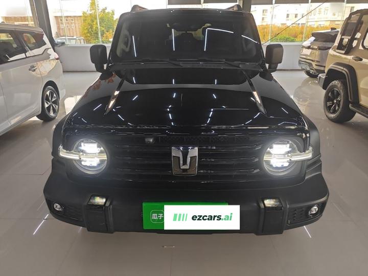 300 2025 2.0T Petrol Conqueror photo 2