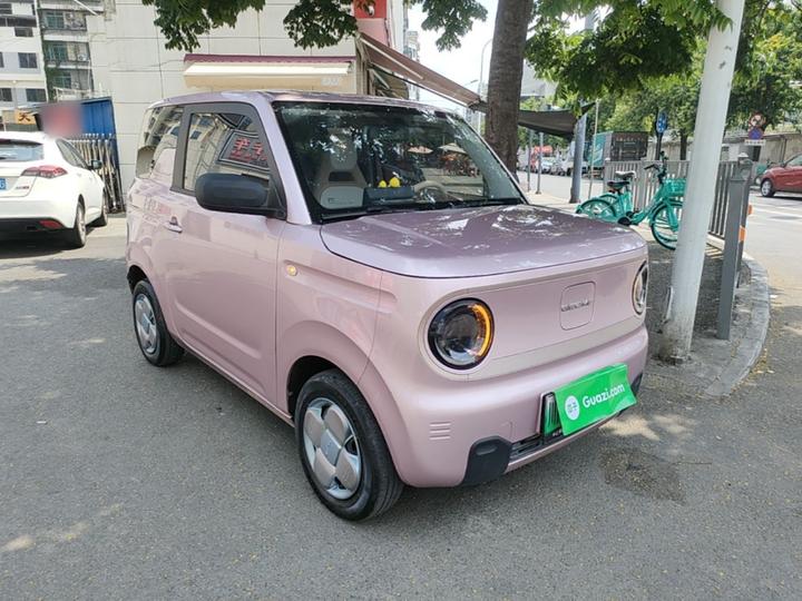 2023 Panda mini 200km Endurance Bear photo 3