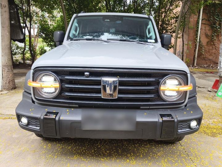 300 2021 Off-road 2.0T Conqueror photo 2