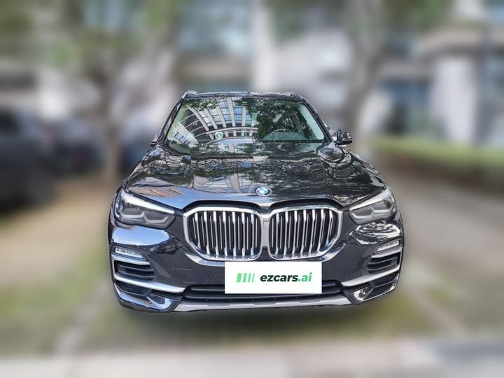 X5 Imported 2019 xDrive30i X Design Package photo 2