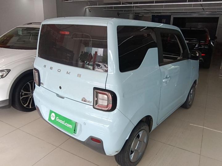 2023 Panda mini 200km Endurance Bear photo 4