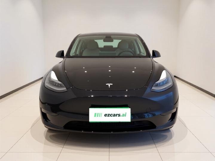 Model Y 2023 Long Range AWD photo 2
