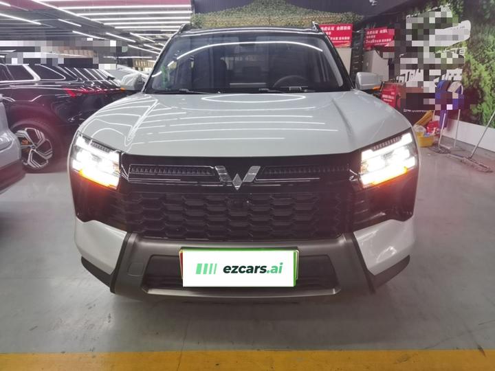 560 EV 2026 125km Luxury photo 2