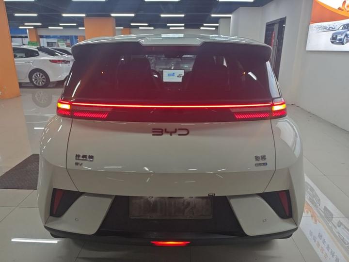 Seagull 2025 ADAS 405km photo 5