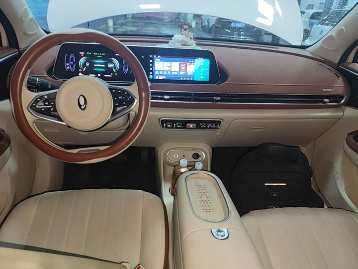 Good Cat 2023 501km Long Range Luxury LFP photo 8