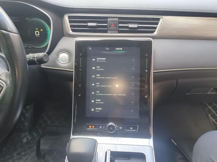 RX5 EV 2020 ePLUS Luxury photo 8