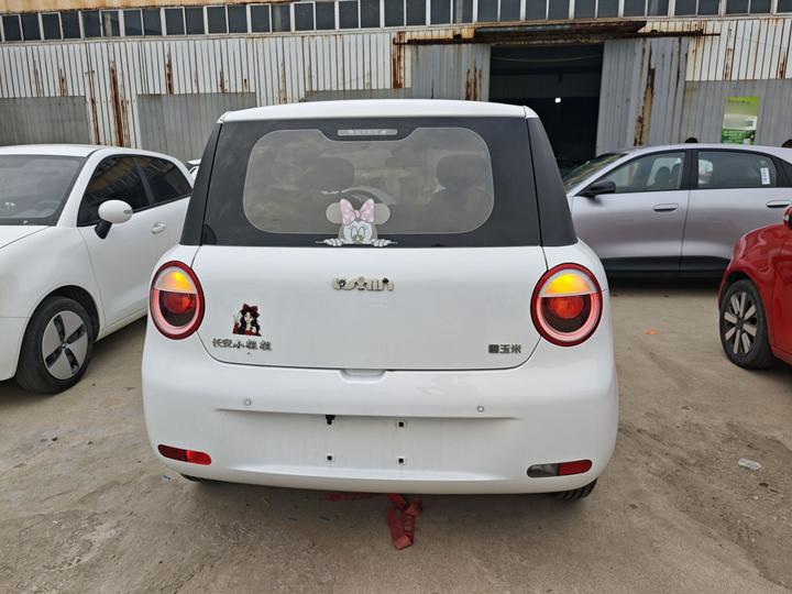 Nevo Changan Lumin 2022 210km photo 3