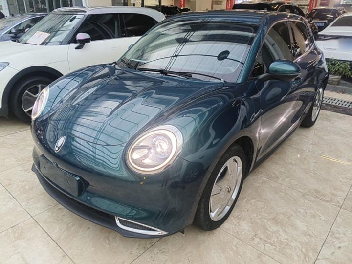 Good Cat 2023 401km Standard Range Luxury LFP