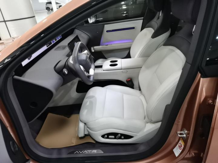 06T 2026 Performance EV photo 6