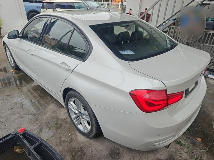 3 Series 2018 318i photo 4