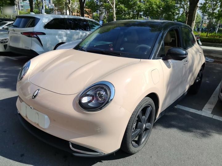Good Cat 2024 401km Luxury