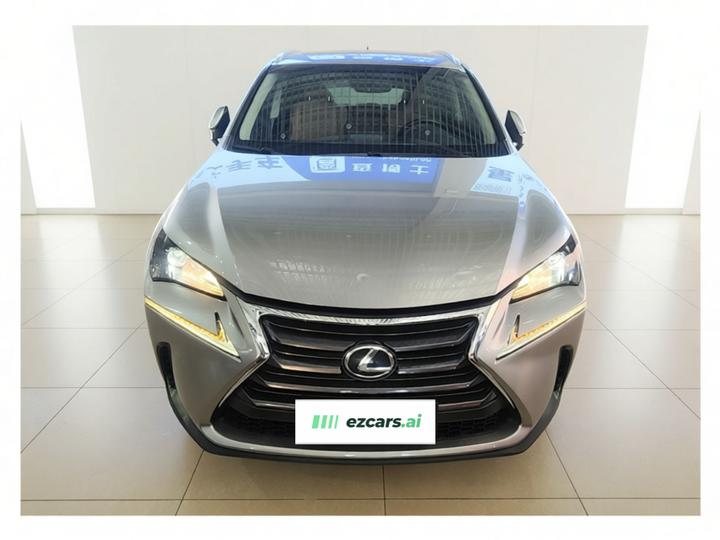 NX 2015 200t photo 2