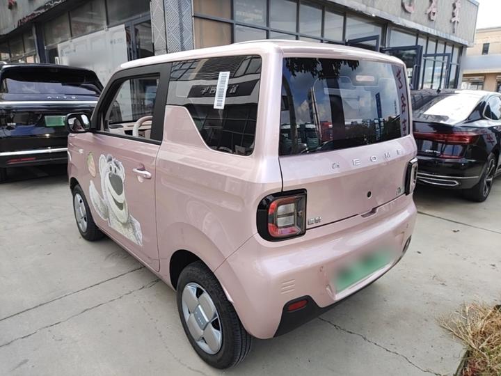 2024 Panda mini 200km Endurance Bear photo 4