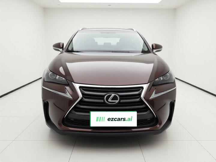 NX 2015 200t photo 2
