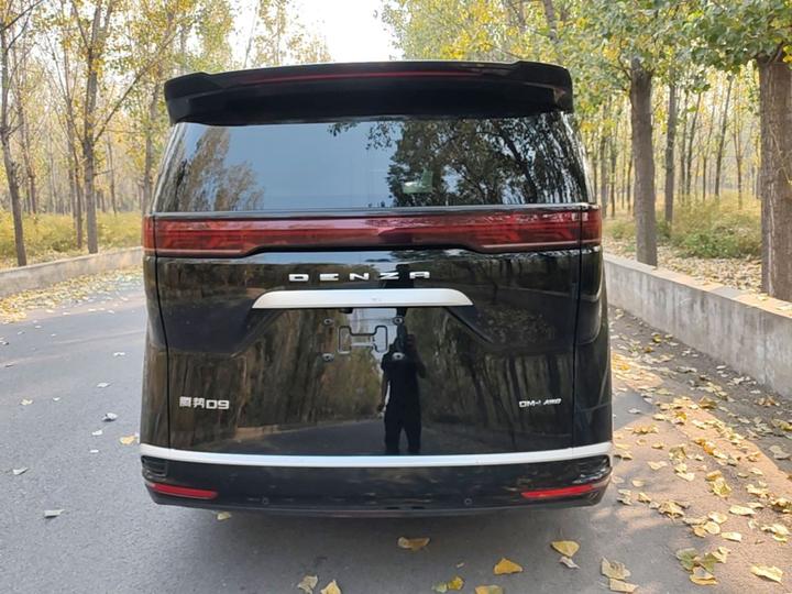 D9 2022 DM-i 970 AWD Noble photo 3