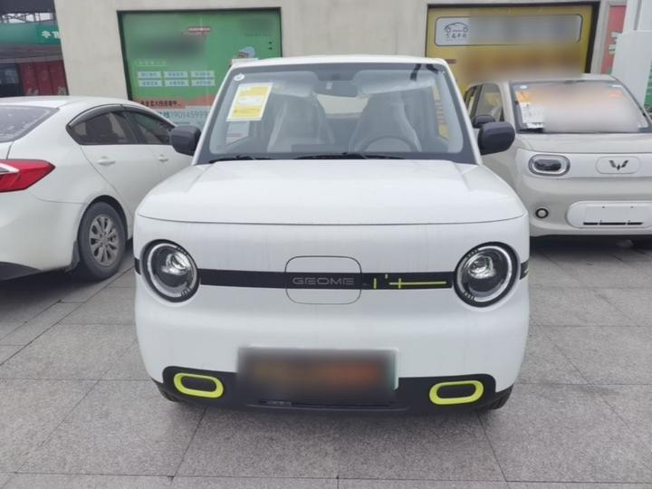 2025 Panda mini 210km Yuan photo 2