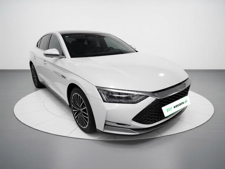 Han 2020 DM AWD Performance Luxury photo 3