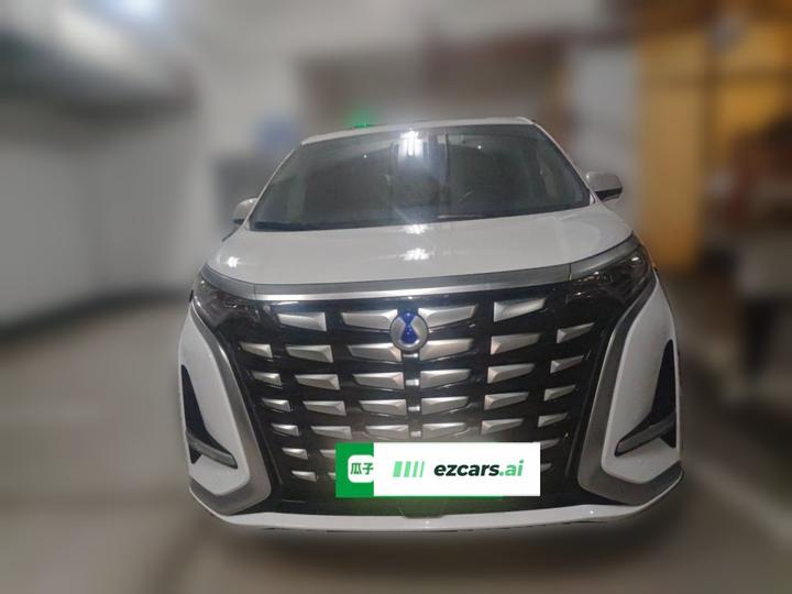 D9 2022 DM-i 970 AWD Noble photo 2