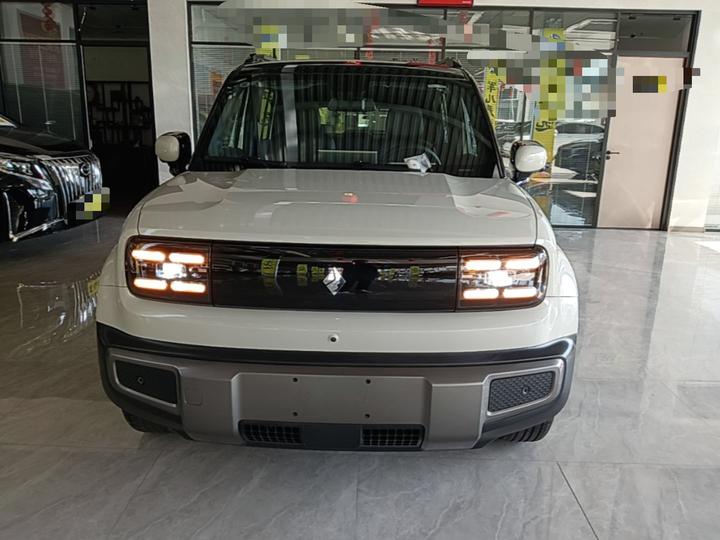 Plus 2026 301km Flagship photo 2