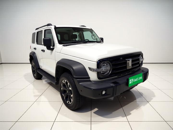 300 EV 2025 Hi4-T 37.1kWh photo 3