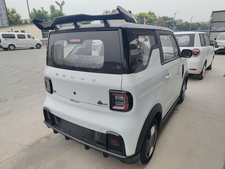 2025 210km Panda photo 4