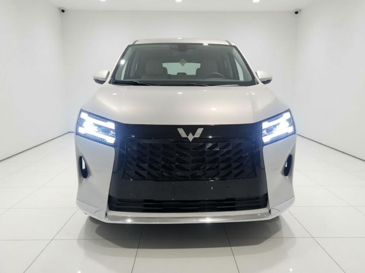 730 EV 2025 125km Luxury photo 2