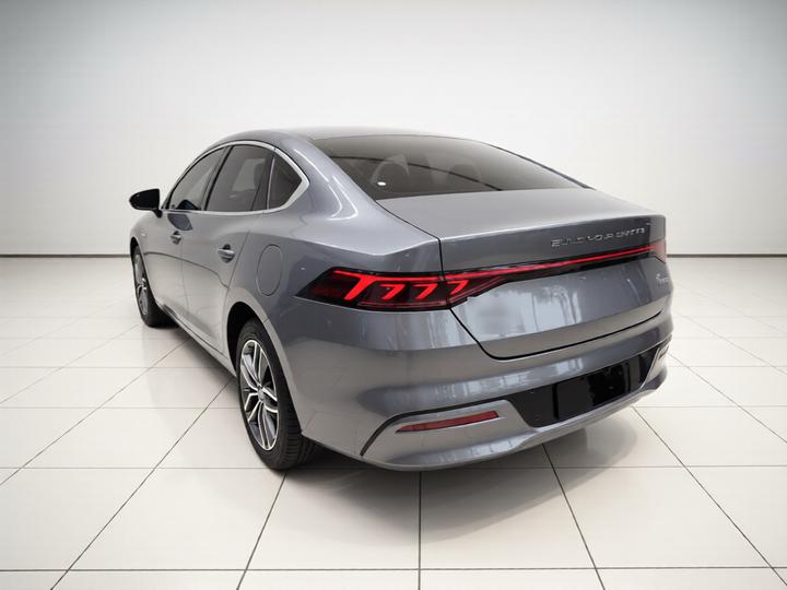 Qin PLUS 2021 DM-i 55KM Flagship photo 4