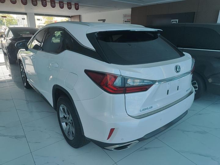 RX 2016 300 RWD Elite China VI photo 4