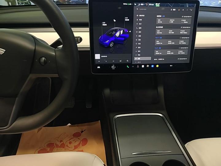 Model Y 2022 RWD photo 8