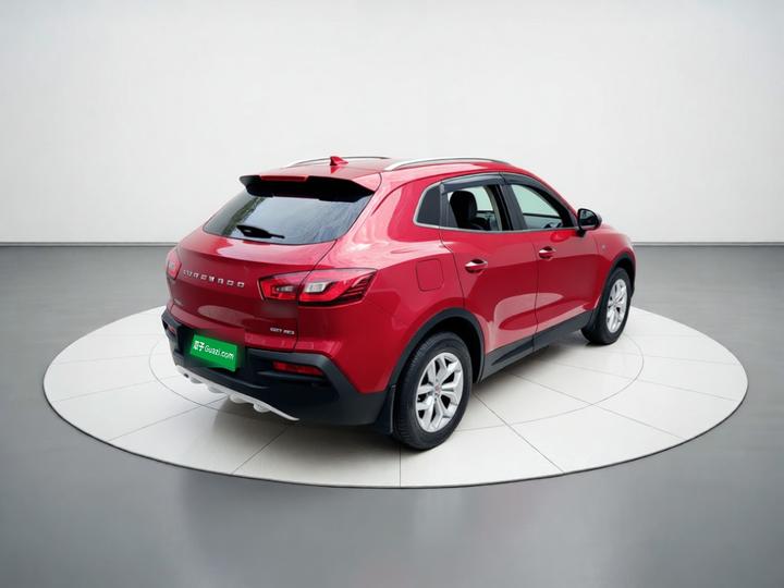 BX5 2017 20TGDI AT RWD Pioneer photo 6