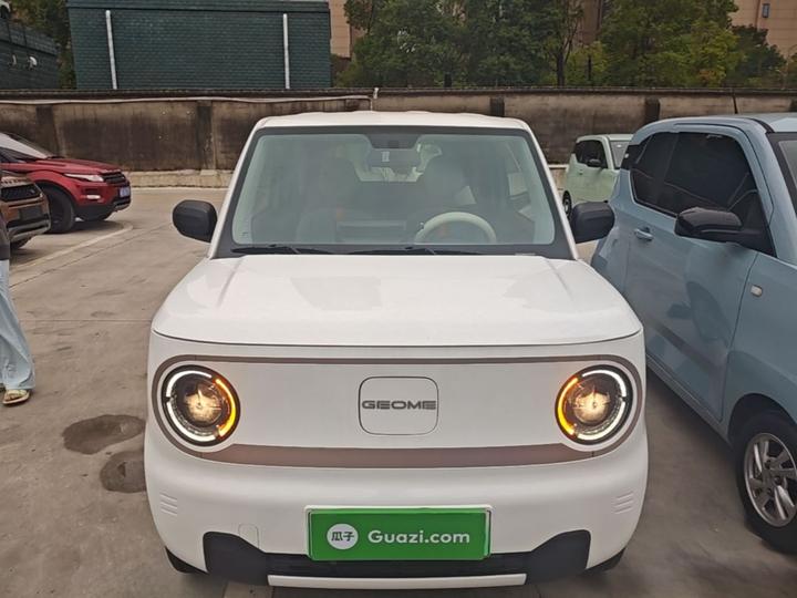 2023 Panda mini 200km Endurance Bear photo 2