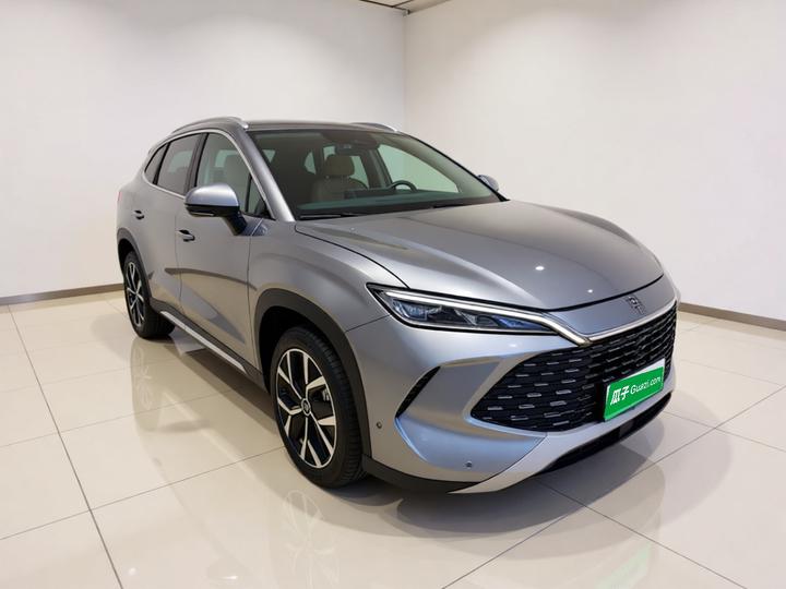 Song L DM-i 2024 160km Excellence photo 3