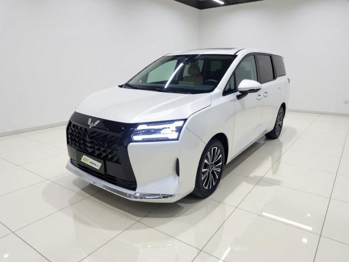 730 EV 2025 125km Luxury