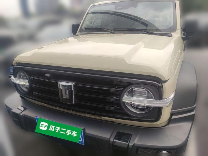300 2025 2.0T Petrol Conqueror photo 2