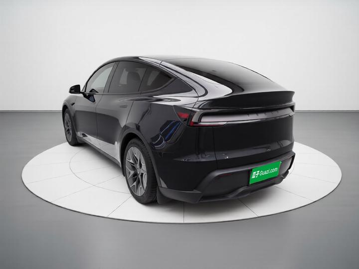 Model Y L 2025 Long Range AWD photo 4