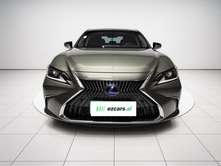 ES 2018 300h Excellence China VI photo 2