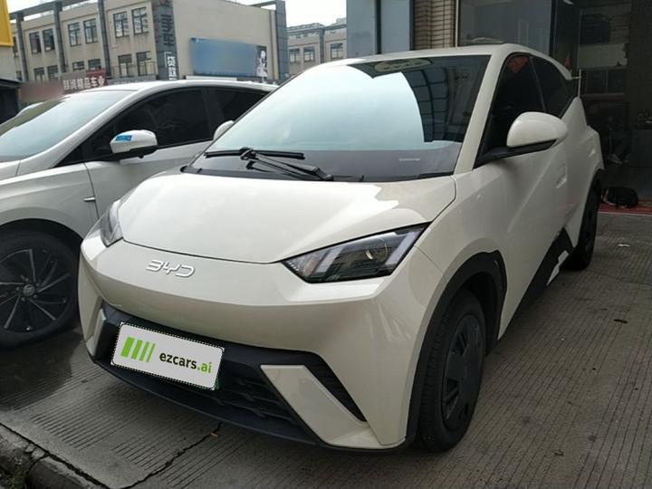 Seagull 2025 305km