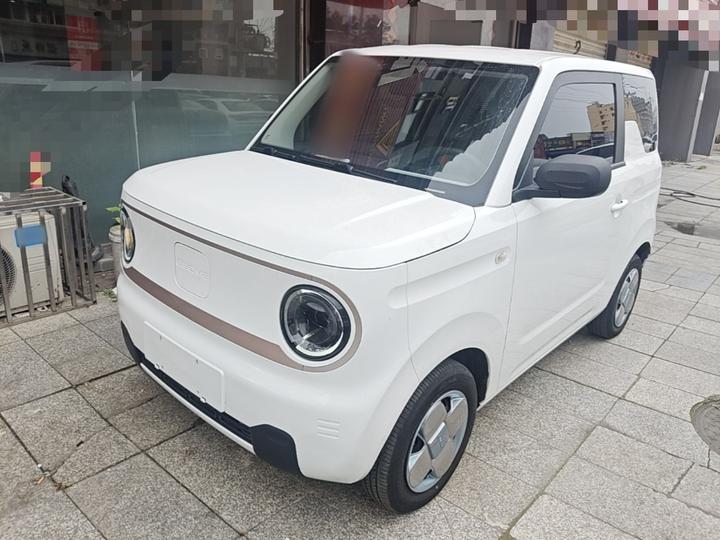 2023 Panda mini 200km Endurance Bear