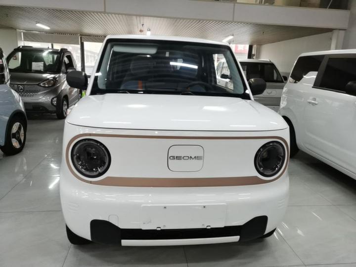2024 Panda mini 200km Endurance Bear photo 2