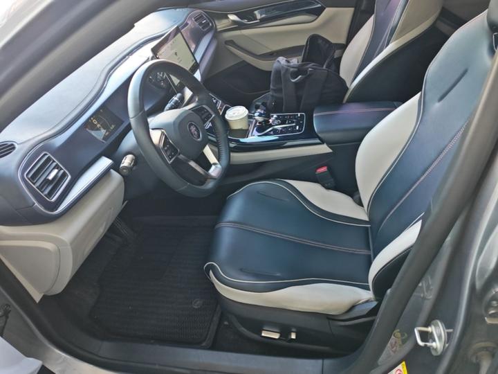 Qin PLUS 2021 DM-i 55KM Flagship photo 6