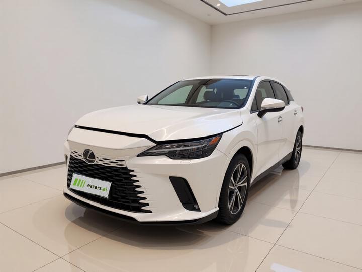 RX 2025 300 AWD