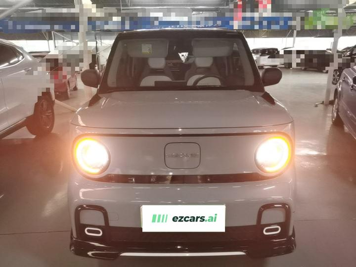 2025 210km Panda photo 2