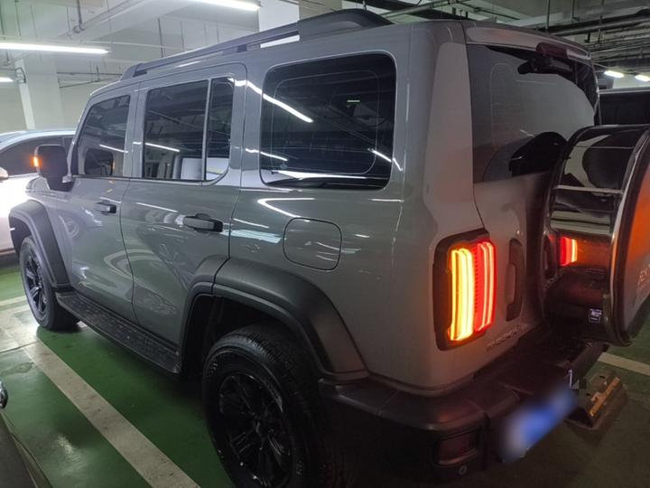 300 2021 Off-road 2.0T photo 4