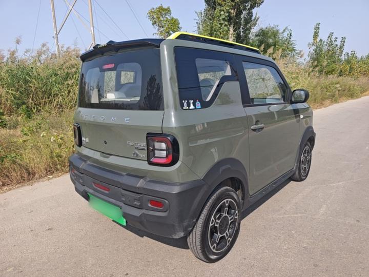 2025 210km Panda photo 4
