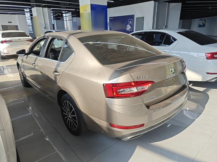Octavia 2019 TSI230 DSG Luxury China V photo 4