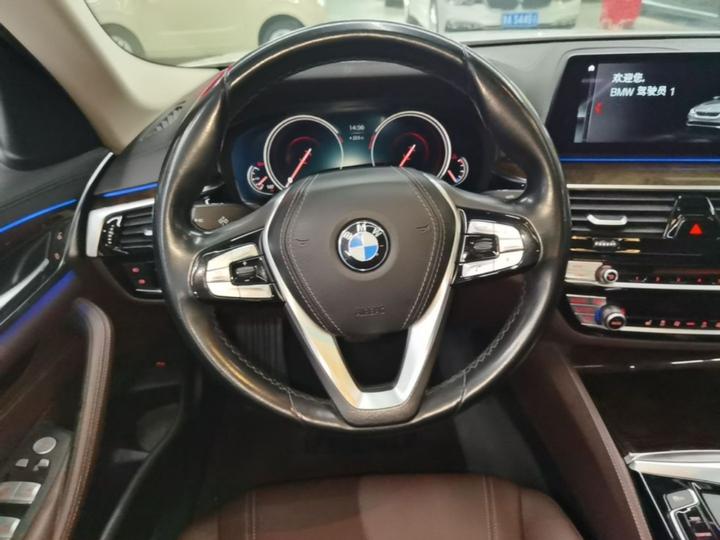 5 Series 2018 525Li Luxury photo 5